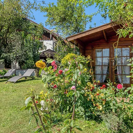 Szálloda Schaider 3*