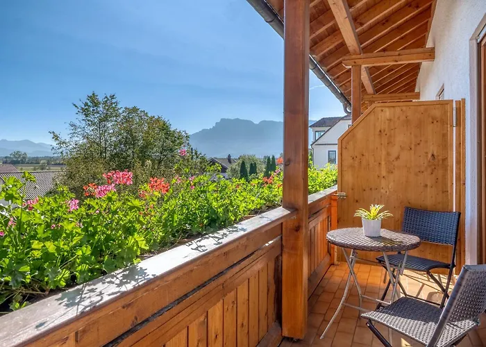 酒店 夏伊德酒店