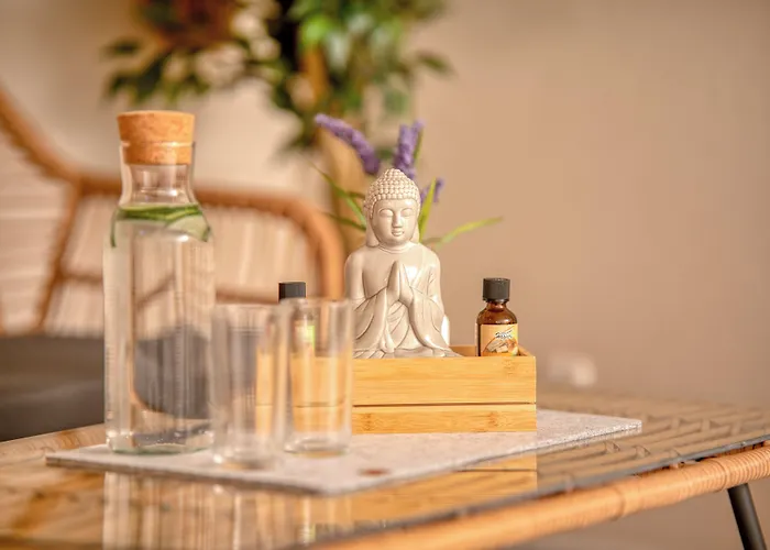 酒店 夏伊德酒店 艾恩灵