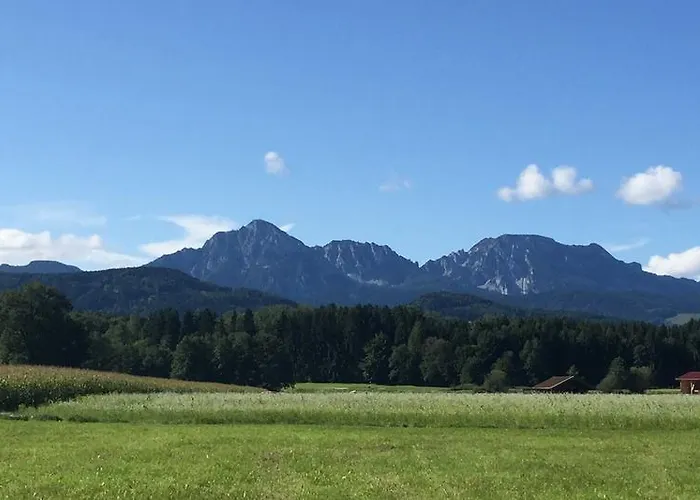 酒店 夏伊德酒店