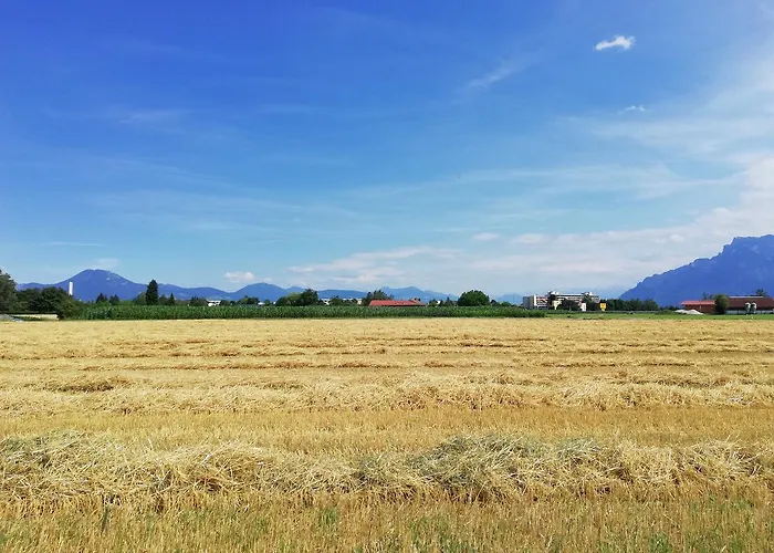 夏伊德酒店 酒店 艾恩灵